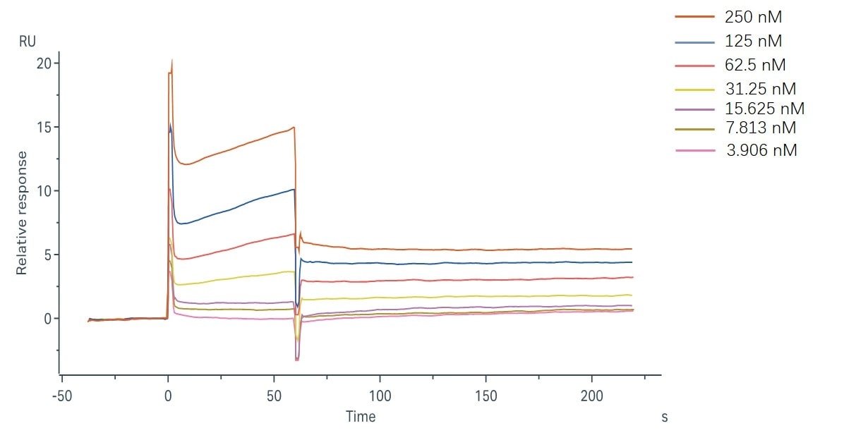 Binding and fitting curves between sample-1 with C1q at different concentrations.