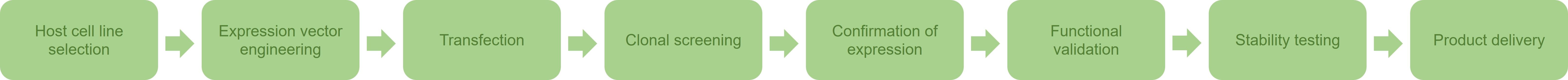 Fig. 2 Workflow of our cell line development service. (Creative Biolabs Original)