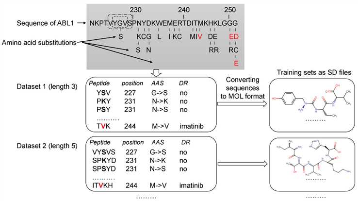 The potential substitution existing in the ABL1 protein’ amino acid sequence. (OA Literature)