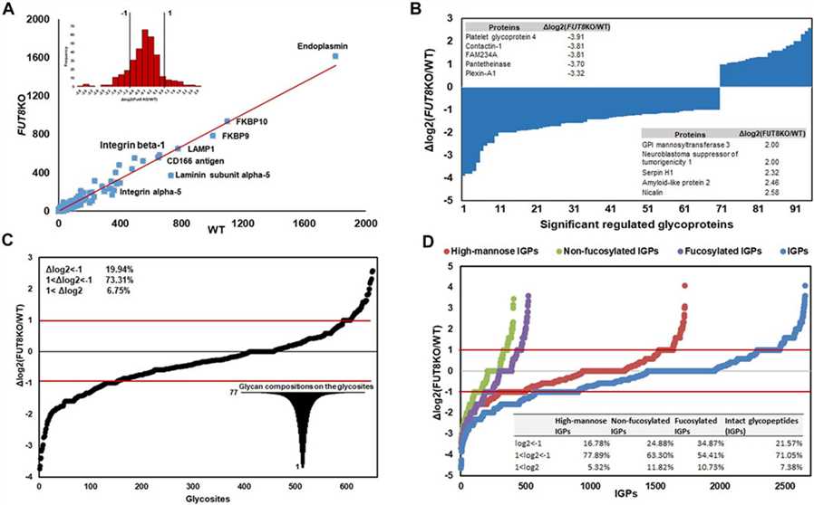 Quantitative analysis of glycoproteins in WT and FUT8KO target cells. (OA Literature)