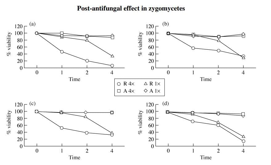 Post Antifungal Effect (PAE)