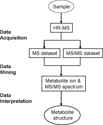 Metabolite Profiling and Identification