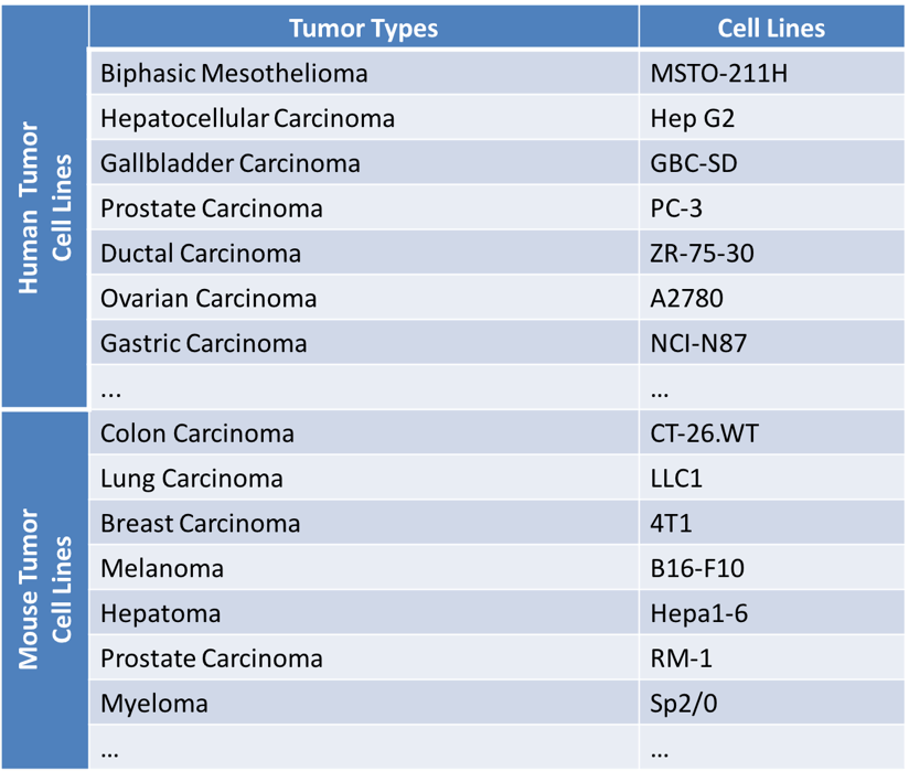 Orthotopic Tumor Models