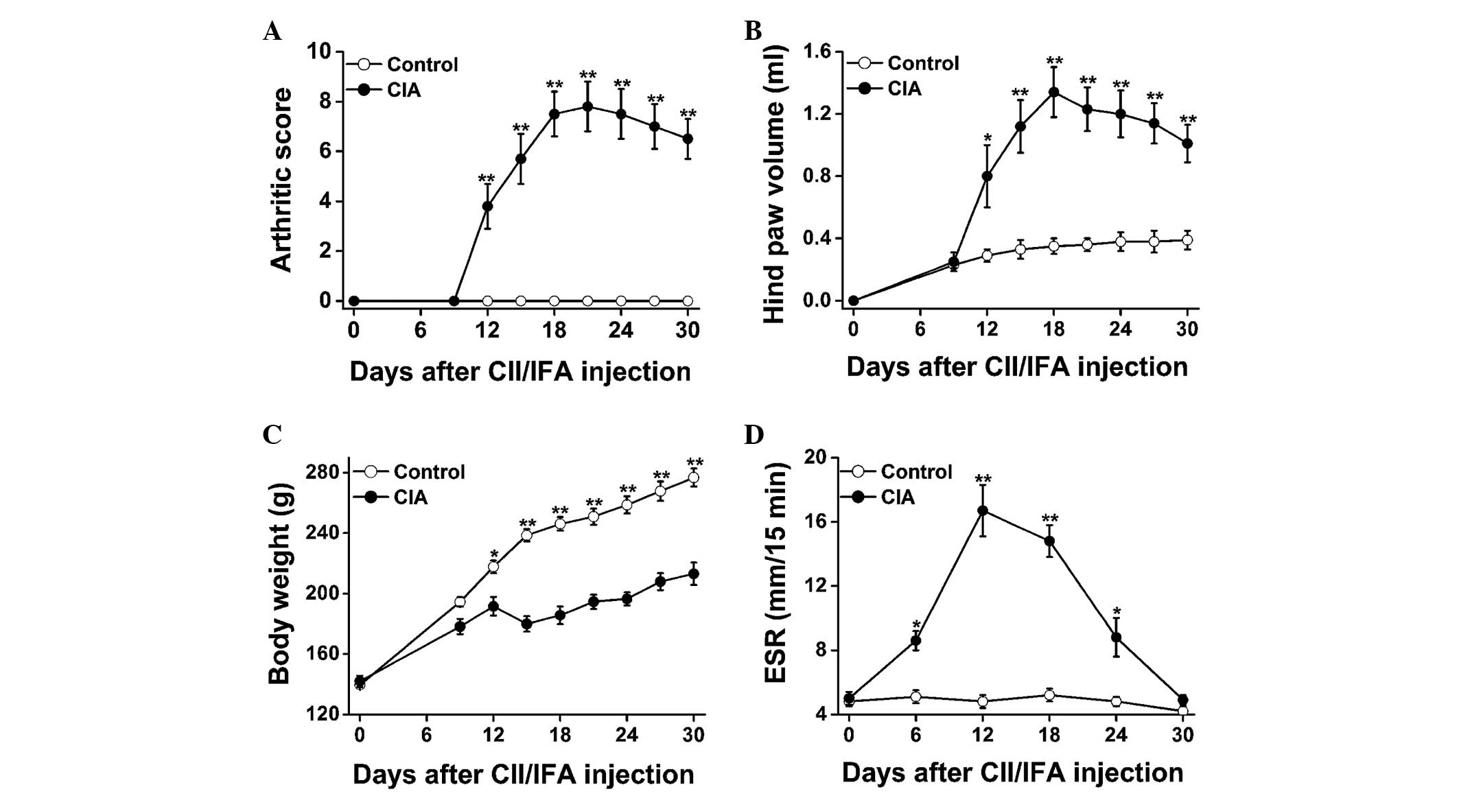 Clinical progression of CIA in female Wistar rats during a 30-day course