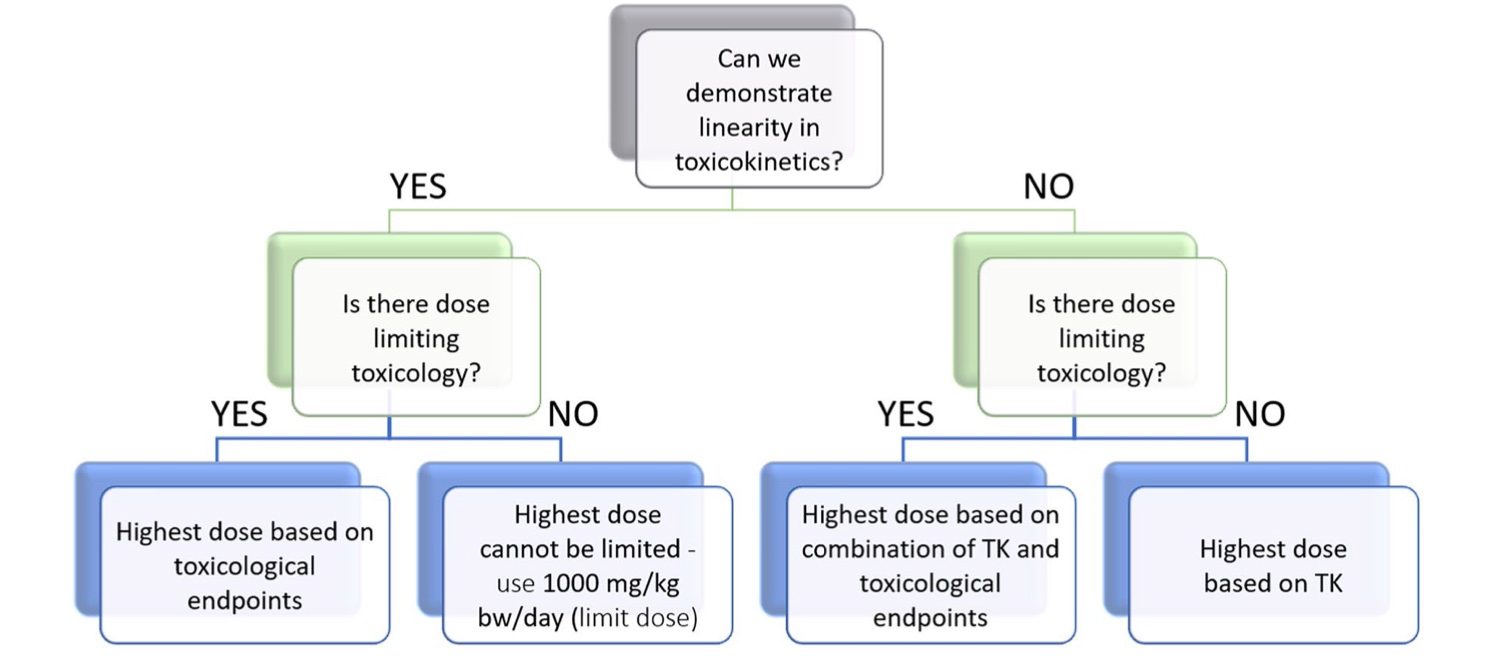 A picture showing the use of TK data in the design of toxicity studies. (OA Literature)