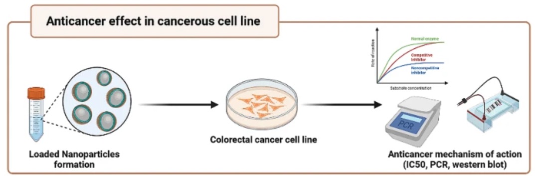 The anticancer activity of a sericin/propolis/fluorouracil nanoformulation was assessed in an animal model. (OA Literature)