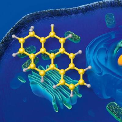 Human Dose Prediction