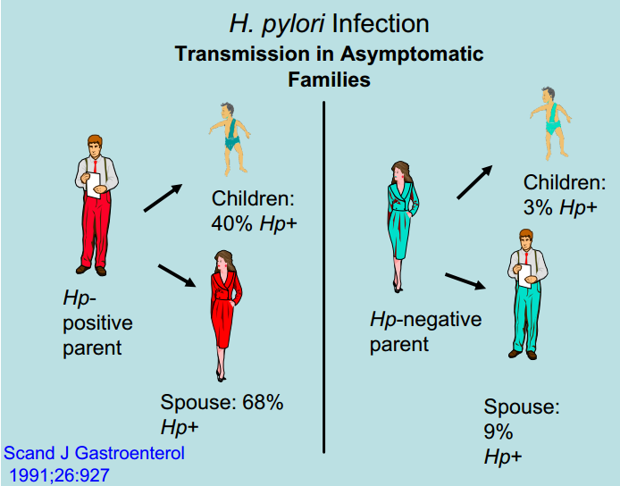 The dynamic of transmission of H. pylori infection in family members and H. pylori status of the index parent.