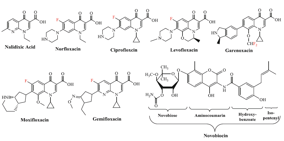 Inhibitors of DNA gyrase.