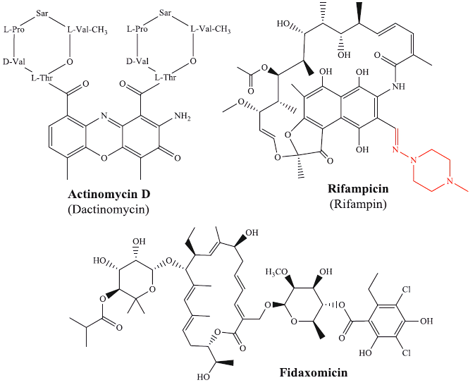 Antibiotics that inhibit RNA synthesis.