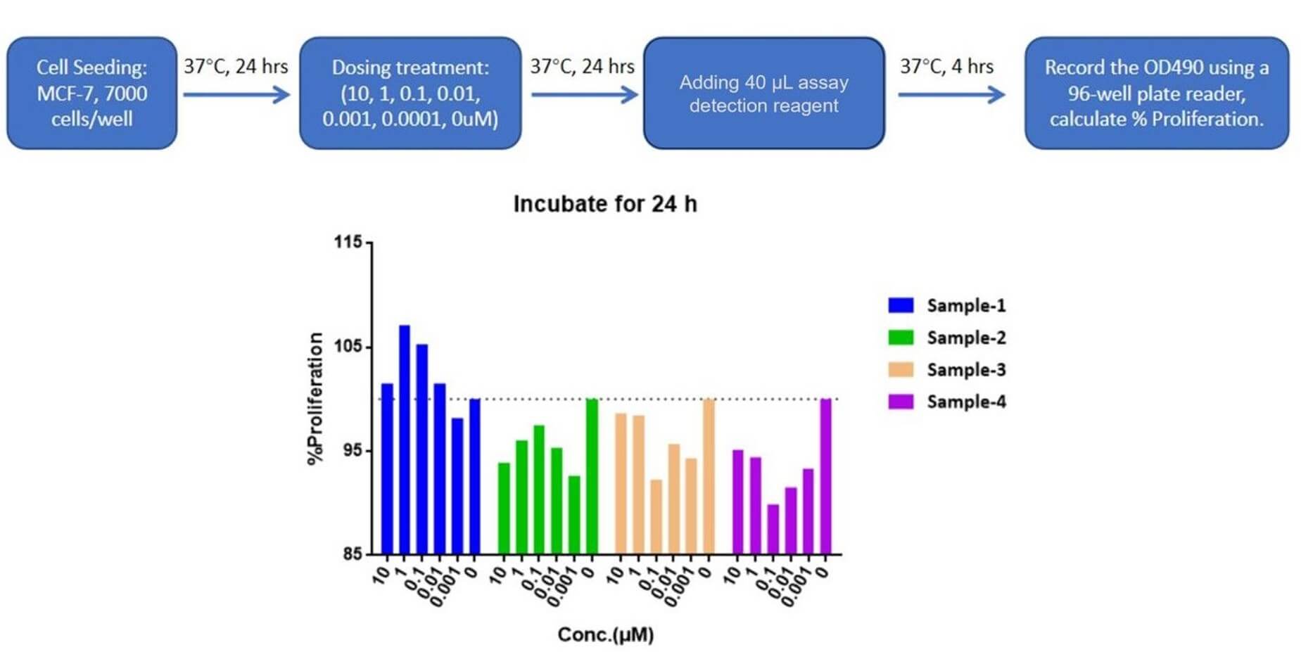 Fig.2 MCF-7 proliferation assay results. (Creative Biolabs Original)