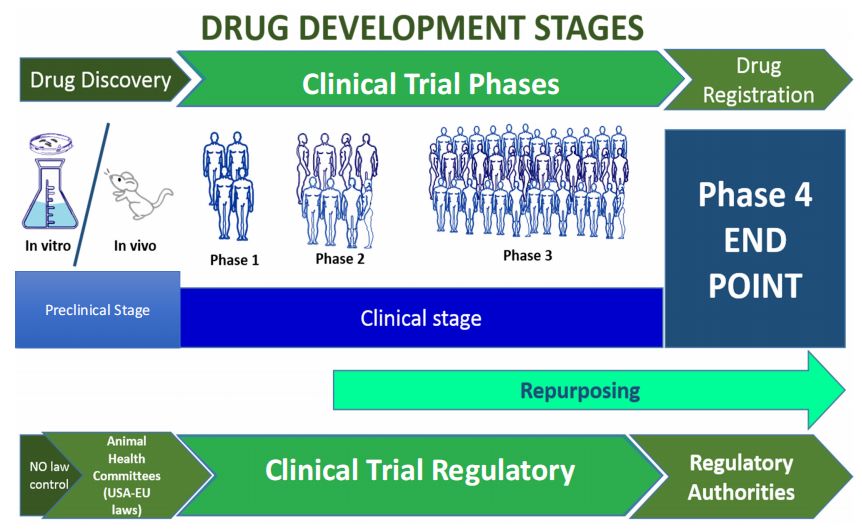 Fig.1 Key DMPK activities in drug development. (OA Literature)