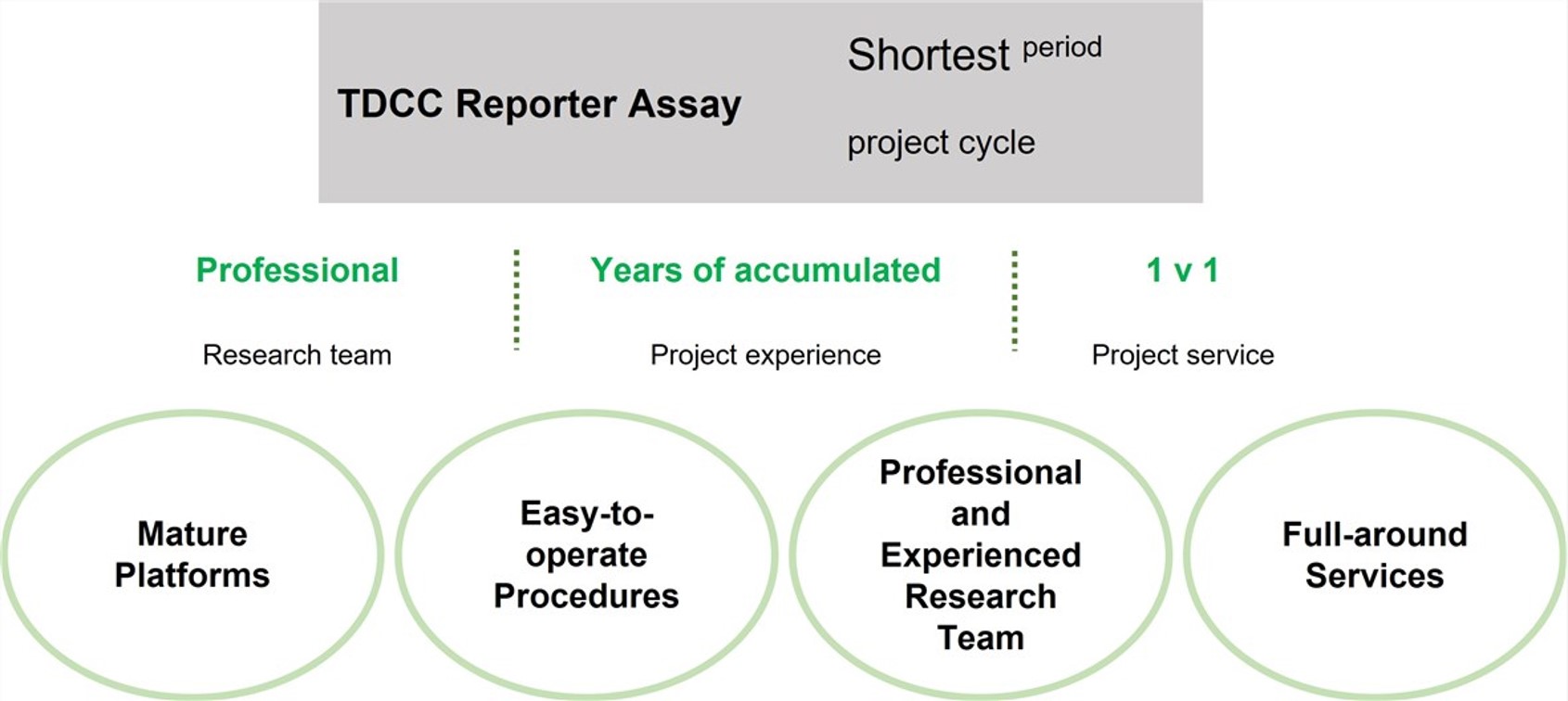 Fig.3 Work with CBL. (Creative Biolabs Original)