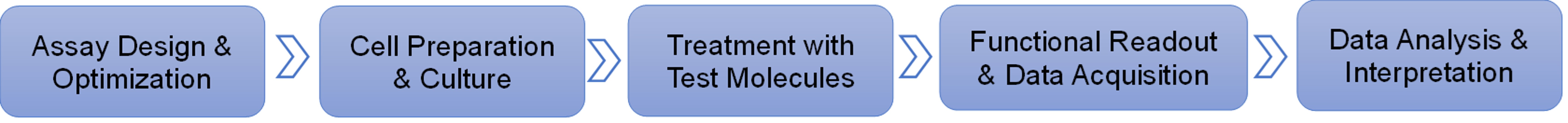 Fig.2 Workflow. (Creative Biolabs Original)