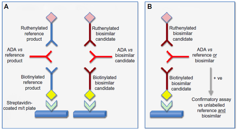 Comparison of one-assay versus two separate screening and confirmatory assays.