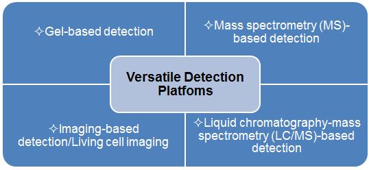 Activity-based Protein Profiling (Abpp)(Creative Biolabs Original)