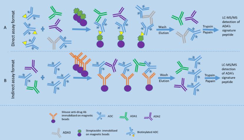 Fig.1 ADA detection. (Qin & Gong, 2022)