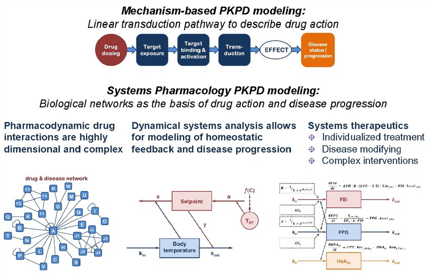 Systems pharmacology PKPD modeling. 