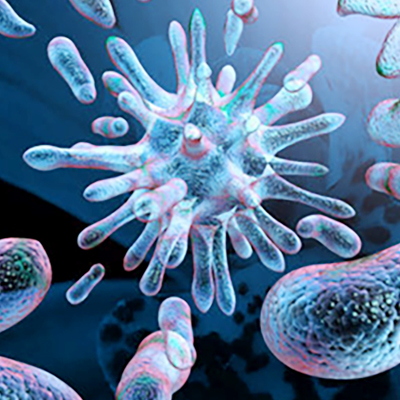 Antibacterial Drug Discovery