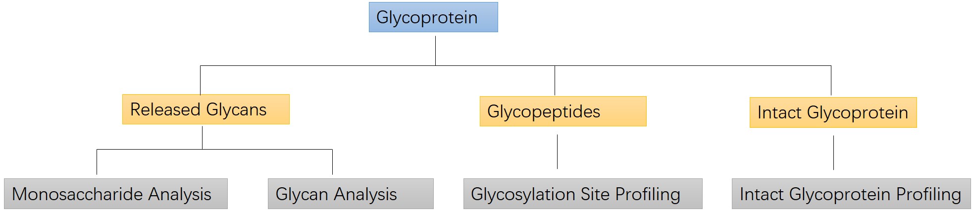 Glycoprotein analysis