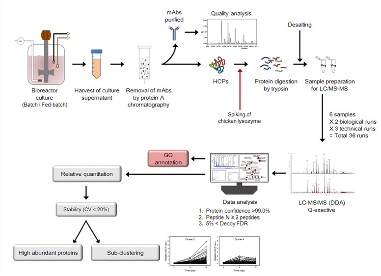 Workﬂow used to characterize the quality attributes of mAbs and identify HCPs in the culture supernatants. 