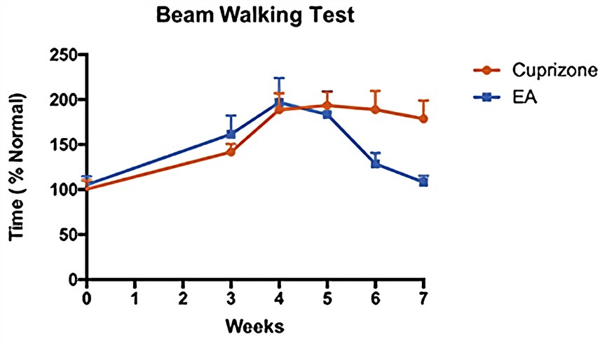 Fig.2 Electroacupuncture (EA) treatment significantly reduced the time spent in beam walking test. (Deng et al. 2015)