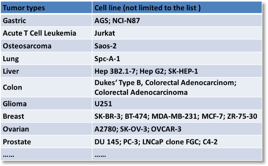 Cell Line Derived Tumor Xenograft (CDX) Mouse Models