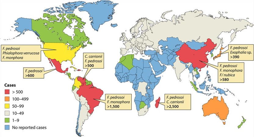 Global distribution of chromoblastomycosis.