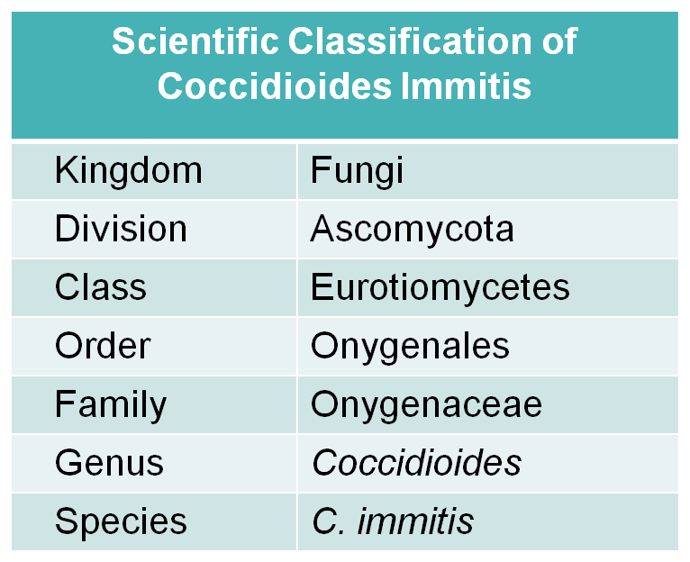 Scientific classification of C. immitis
