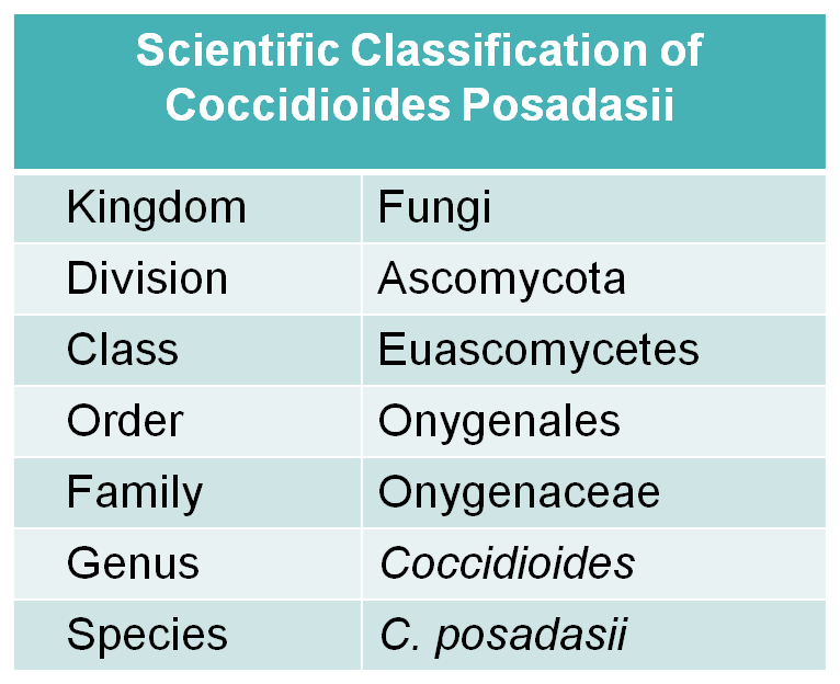 Scientific classification of C. posadasii
