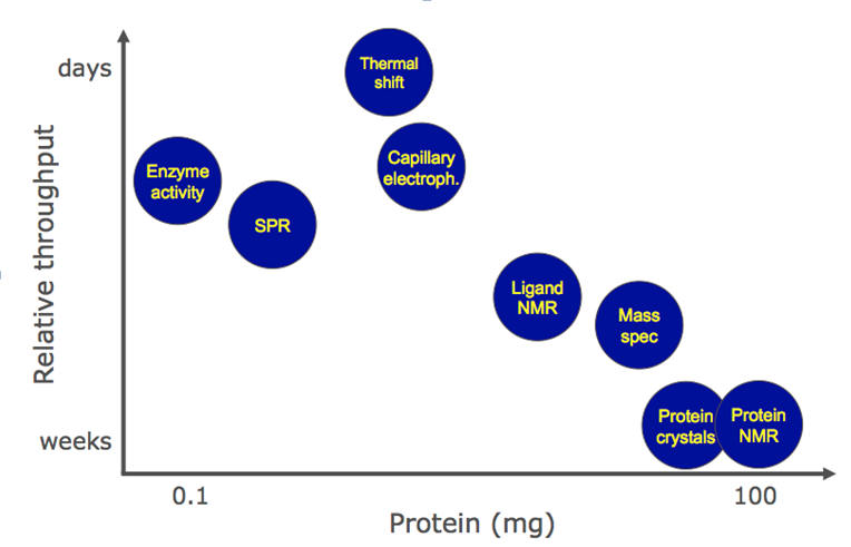 Fragment-Based Screening