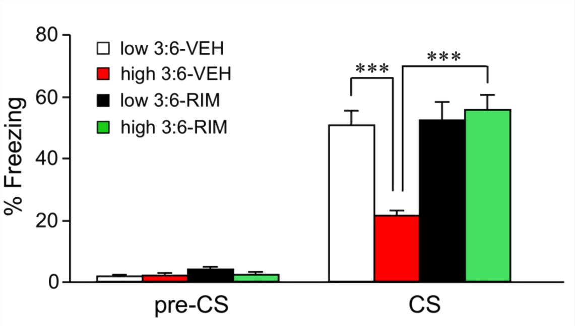Fig.1 In the auditory fear conditioning test, the freezing rate was reduced in mice fed with a high 3:6 ratio diet compared with that in mice fed with a low 3:6 ratio diet. Vehicle (VEH) was injected as the control for rimonabant (RIM) treatment. (Daisuke et al. 2016)