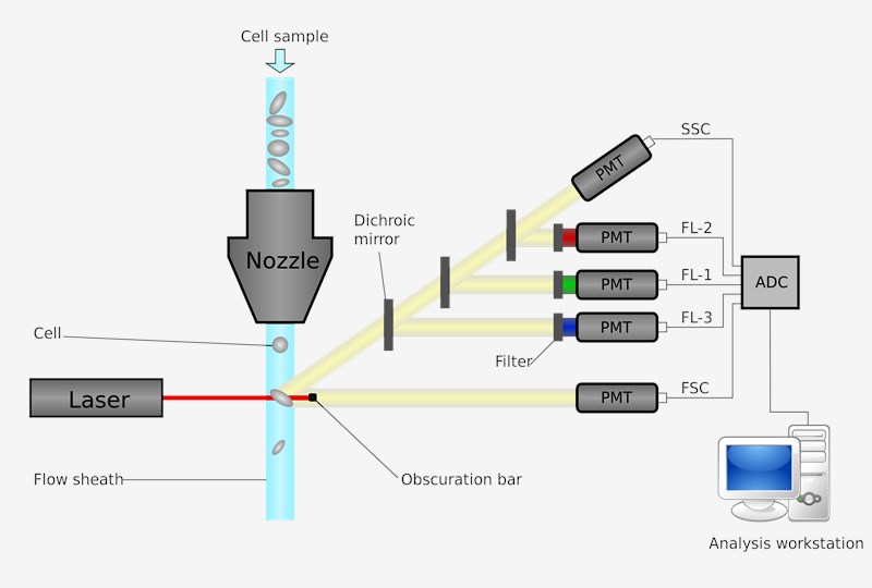 High Throughput Flow Cytometry