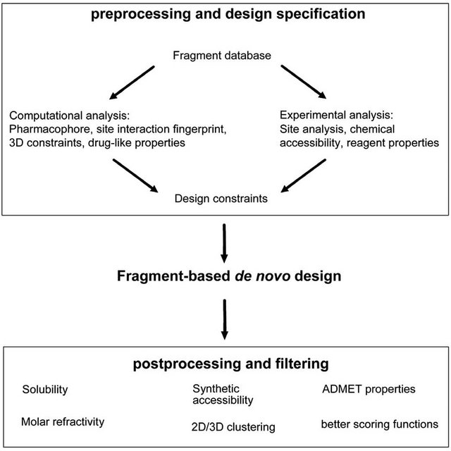 Workflow of the fragment-based de novo design process.