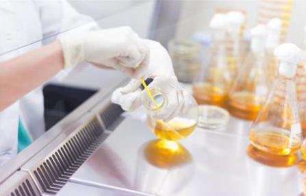 Fungal Cytological Profiling Platform (Creative Biolabs Authorized)