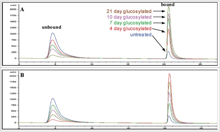 Boronate affinity chromatograms of untreated and forced-glycated antibody samples.