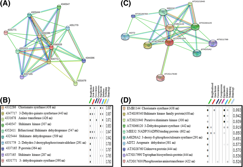 Figure 1. <em>In silico</em> prediction of interacting partners  for EPSPS gene by STRING (Garg et al. 2014)