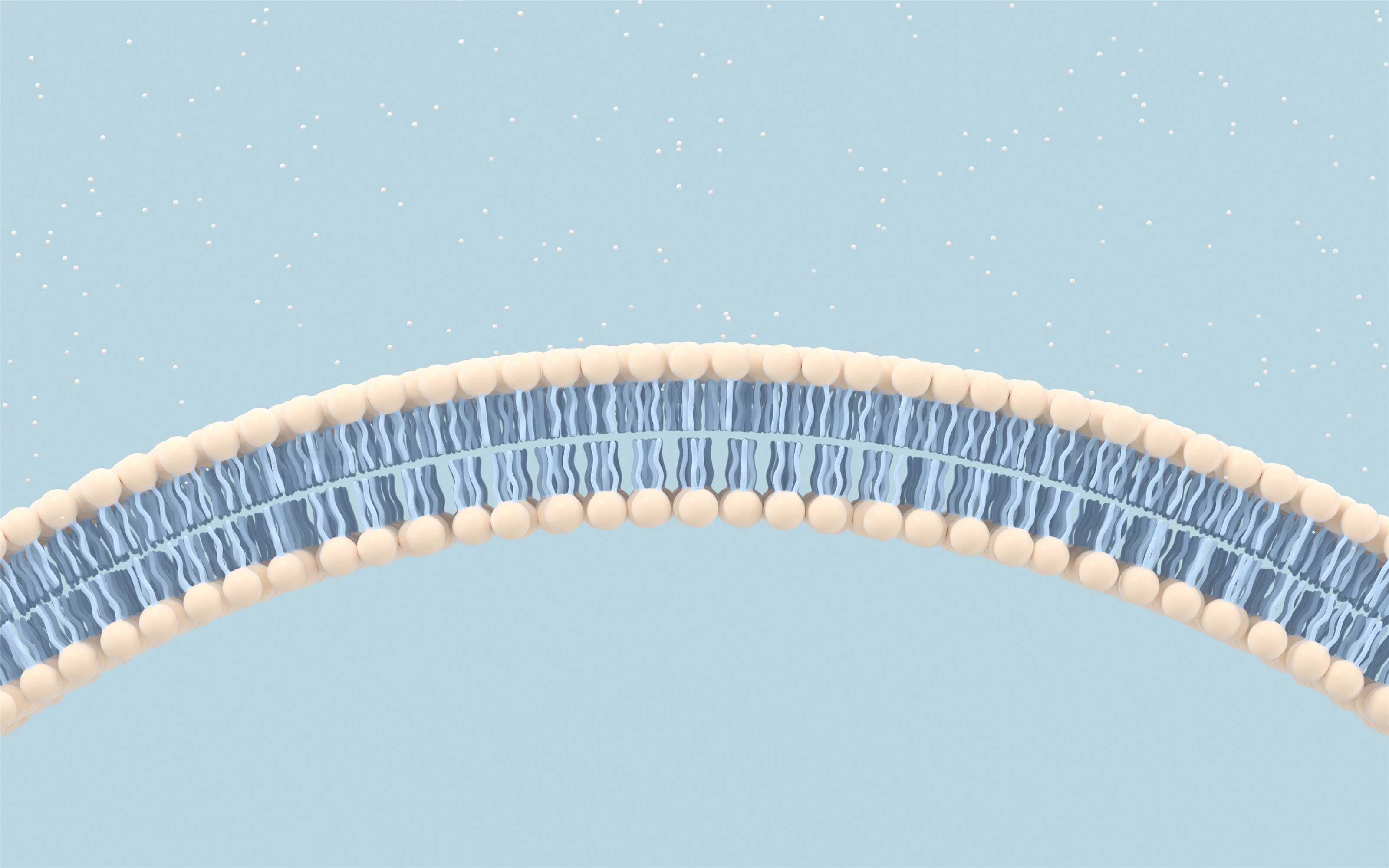 Parallel Artificial Membrane Permeability Assay. (Creative Biolabs Authorized)