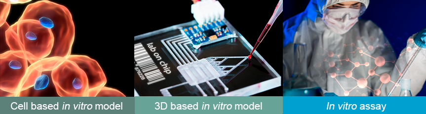 In Vitro Safety Pharmacology Studies 