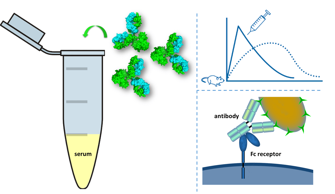 In vivo fitness assessment of drug candidates by the CreDA™ platform