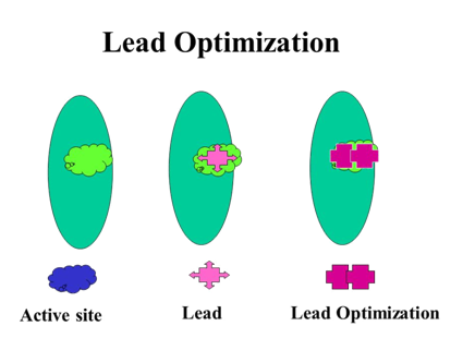 Lead Optimization