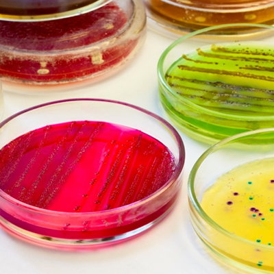 MIB-CM® Microbiology Reagents