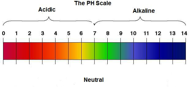 Magic™ pH-Sensitive Dye for Internalization Detection