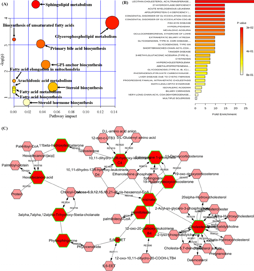 Figure 1.  Lipid metabolic pathway analysis of identified differential lipid species. (Miao <em>et al.</em> 2016)