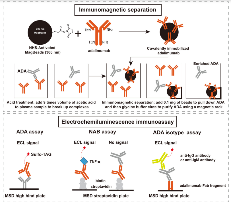 Ligand Binding Assay An Overview ScienceDirect Topics, 52 OFF