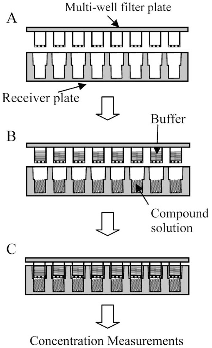 Schematic illustration of a permeability assay. 
