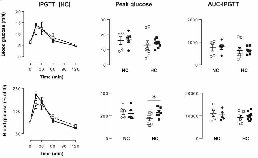 Intraperitoneal glucose tolerance test (iPGTT) in a marmoset model of obesity.