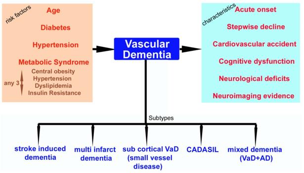 Characteristics, risk factors, and subtypes of vascular dementia.