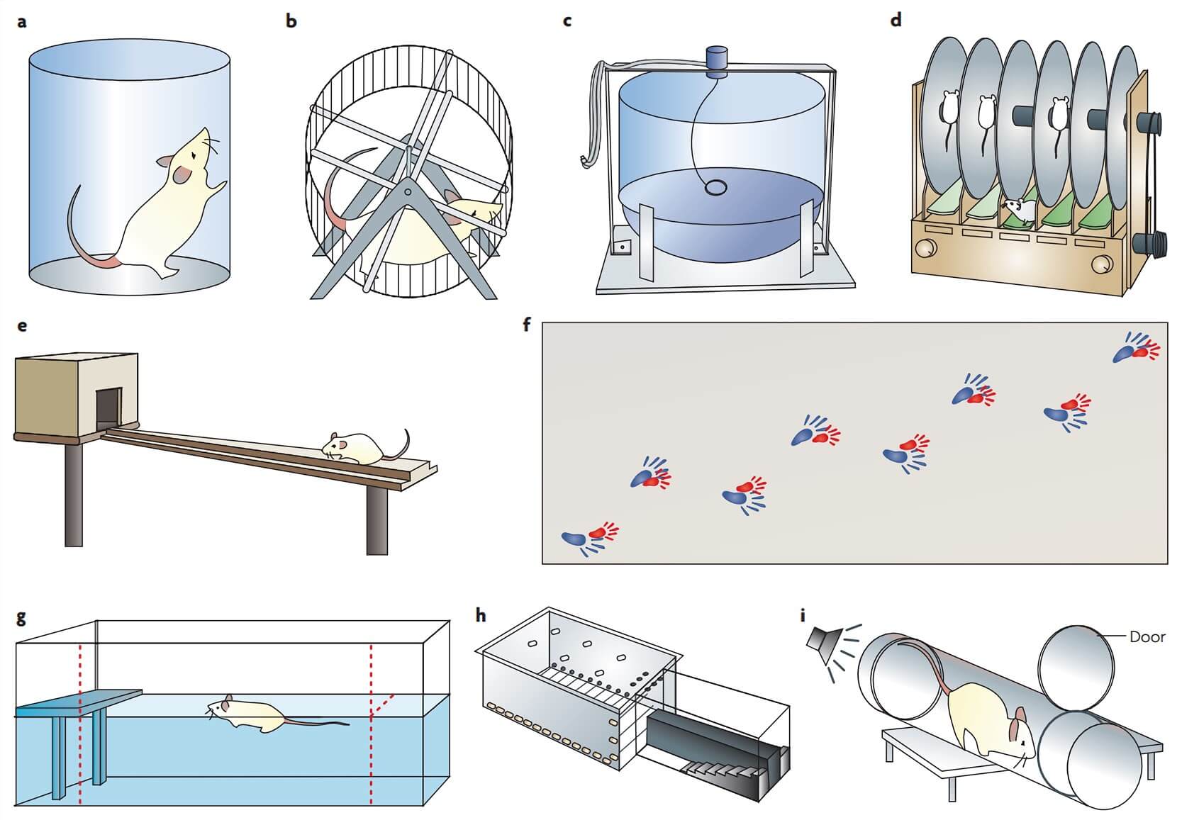 Top 170+ Animal behavior test