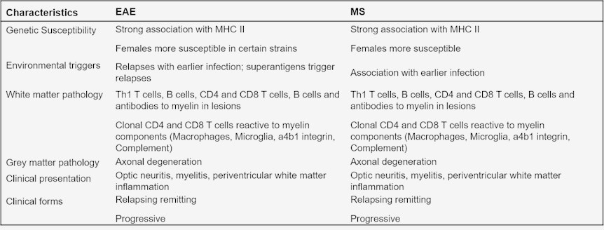 Rodent Multiple Sclerosis (MS) Models